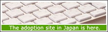 The adoption site in Japan is here.